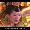 49tk图库电脑下载官方